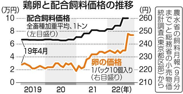 卵 一 パック オファー 値段