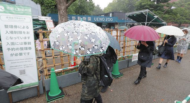 シャンシャン 久しぶりに会えた 上野動物園が5カ月ぶりに再開 来園者に笑顔 東京新聞 Tokyo Web シャンシャン 久しぶりに会えた 上野動物園が5カ月ぶりに再開 来園者に笑顔 東京新聞 Tokyo Web