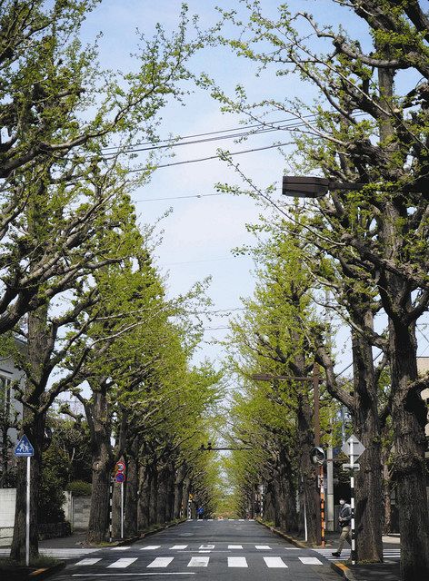 東京探訪 田園調布 渋沢が描いた理想の住宅地 東京新聞 Tokyo Web