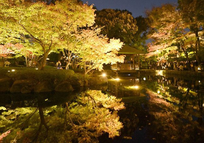 ライトアップされ、園内の池で水鏡となって映る紅葉＝2020年11月28日、東京都杉並区の区立大田黒公園で（戸田泰雅撮影）