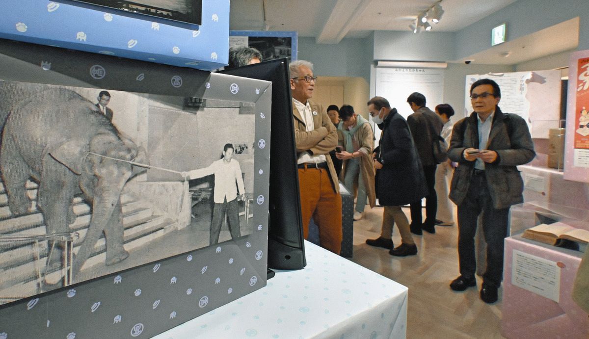 屋上のアイドル「タカちゃん」を知ってる？ 企画展に寄せられた写真は