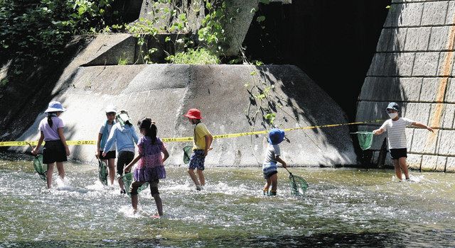 きれいな神田川で水遊びを 新宿区 親水テラス と周辺 東京新聞 Tokyo Web