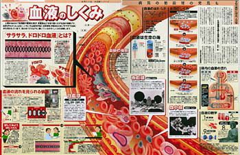 血液のしくみ No 563 東京新聞 Tokyo Web