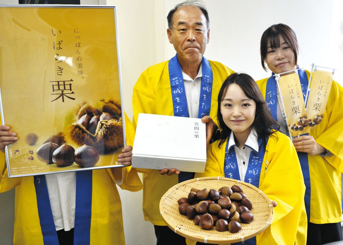 栗、品種ごとに違った味わいを キャラバンが茨城県産PR：東京新聞デジタル