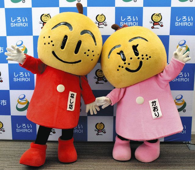 白井PRで奔走 傷んじゃいました 「なし坊」「かおり」の新調費用