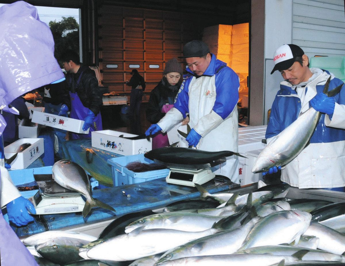 ニッポンの食は いま＞お正月編（1） 2024年問題 挑むブリの島 「出荷