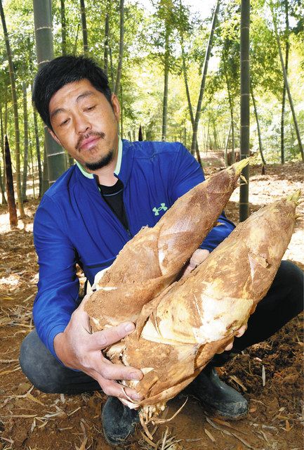 食卓ものがたり＞土から育む、白い逸品 京たけのこ（京都市西京区