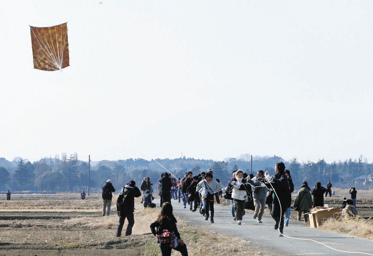12畳 凧」歓喜の舞 取手あげて挑戦 400人参加 地元材で凧修復 地域文化