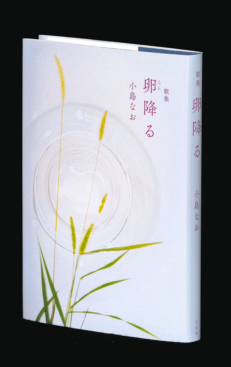 小島なおの現在地 歌集『卵降る』（左右社）〈加古陽の短歌遊行