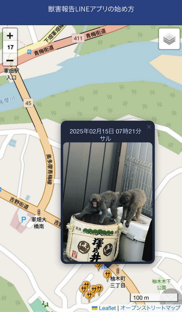 青梅 市 熊