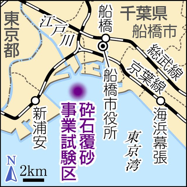 三番瀬のアサリ 復活 へ 船橋市と漁協 試験区 海底に小石 定着しやすく 東京新聞 Tokyo Web