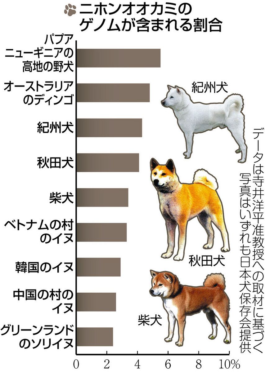 古代DNAで探る イヌの起源 ニホンオオカミと共通祖先 4万～2万年