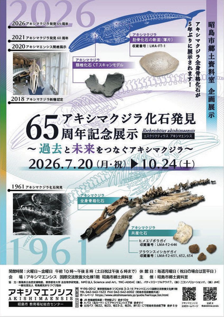 アキシマクジラ発見65年 全身骨格化石、5年ぶり公開 昭島で企画展