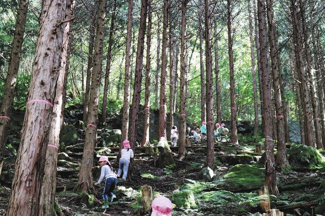 奥多摩町にある「東京・森と市庭」の社有林での木育遠足（菅原和利さん提供)