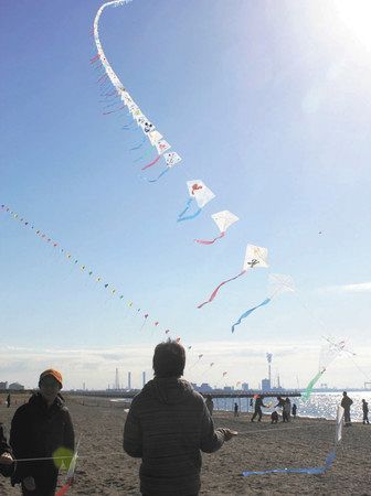 凧の空中戦 からっ風が身にしみる 東京新聞 Tokyo Web