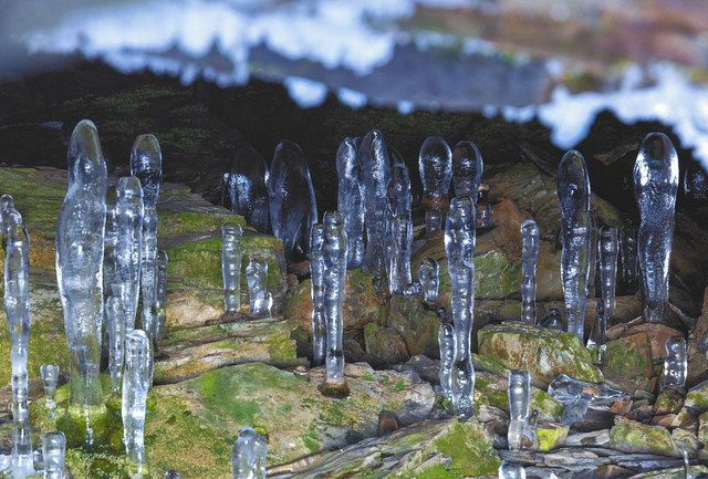 彩 首都圏の四季を訪ねて＞神秘 氷の神殿 大幽洞窟の氷筍（群馬県