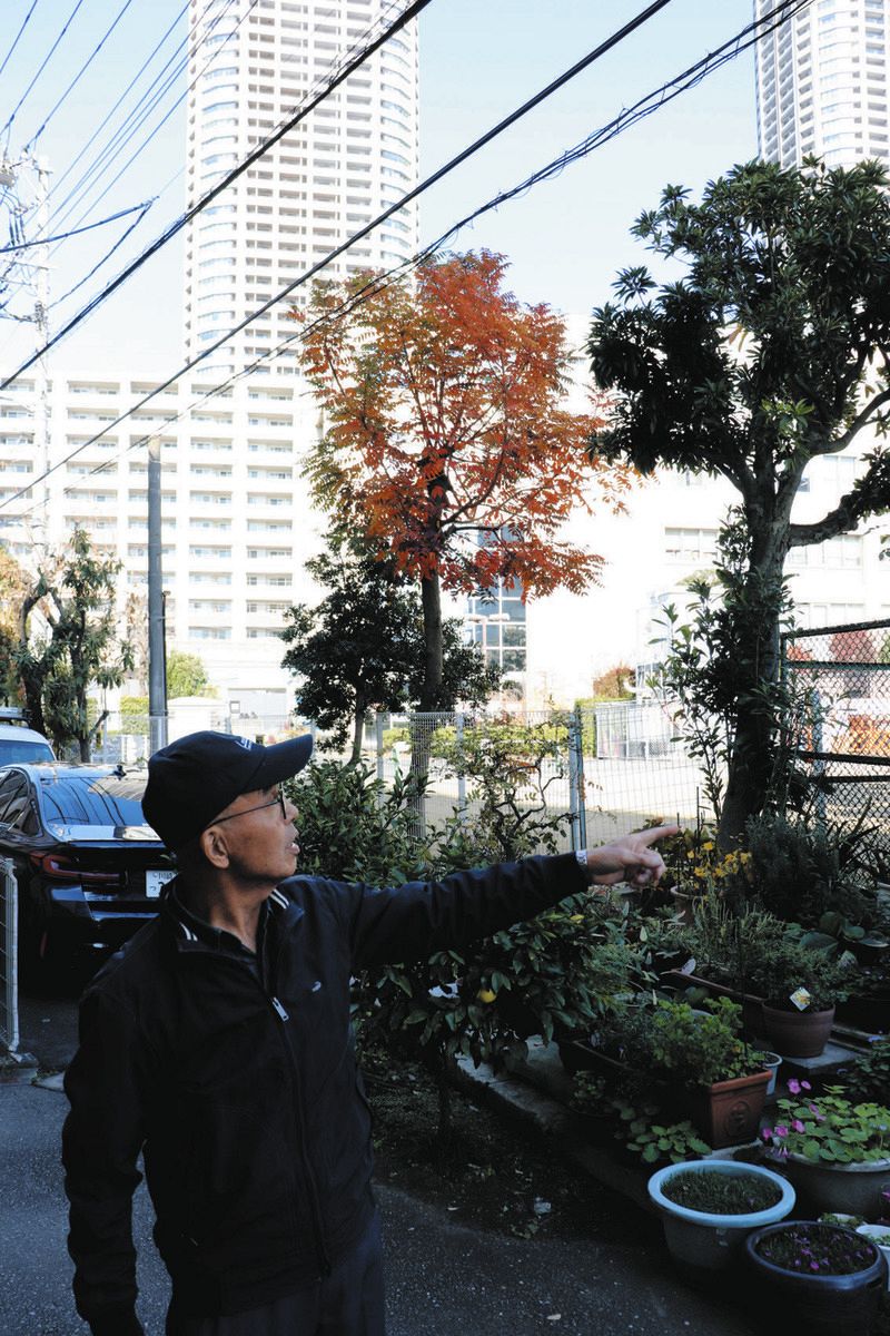 タワーマンションを見上げる五十嵐俊男さん＝川崎市中原区で