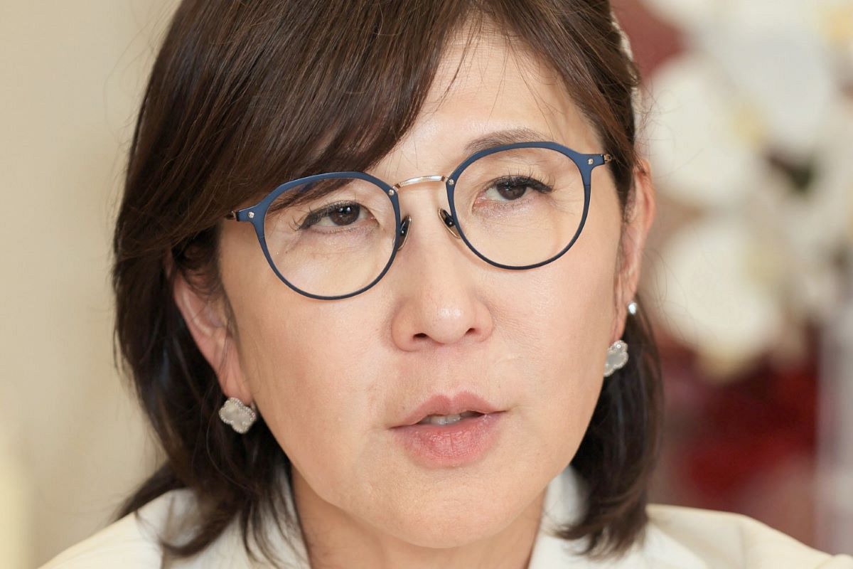 稲田朋美 何 した