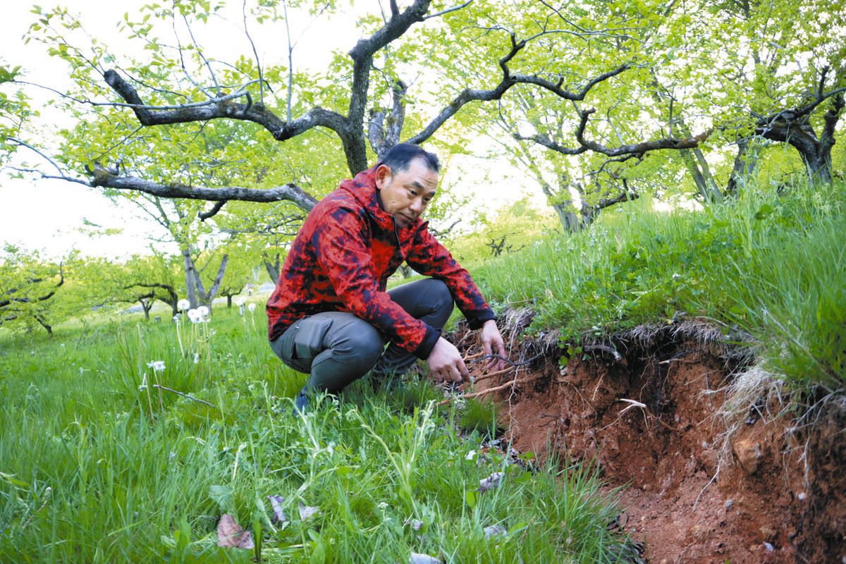 地震でできた亀裂に頭を悩ませる柳田尚利さん＝石川県能登町で