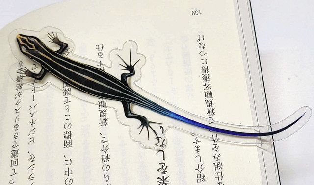 夏休みに親子で金魚を作ってみよう 三鷹産業プラザで販売：東京新聞