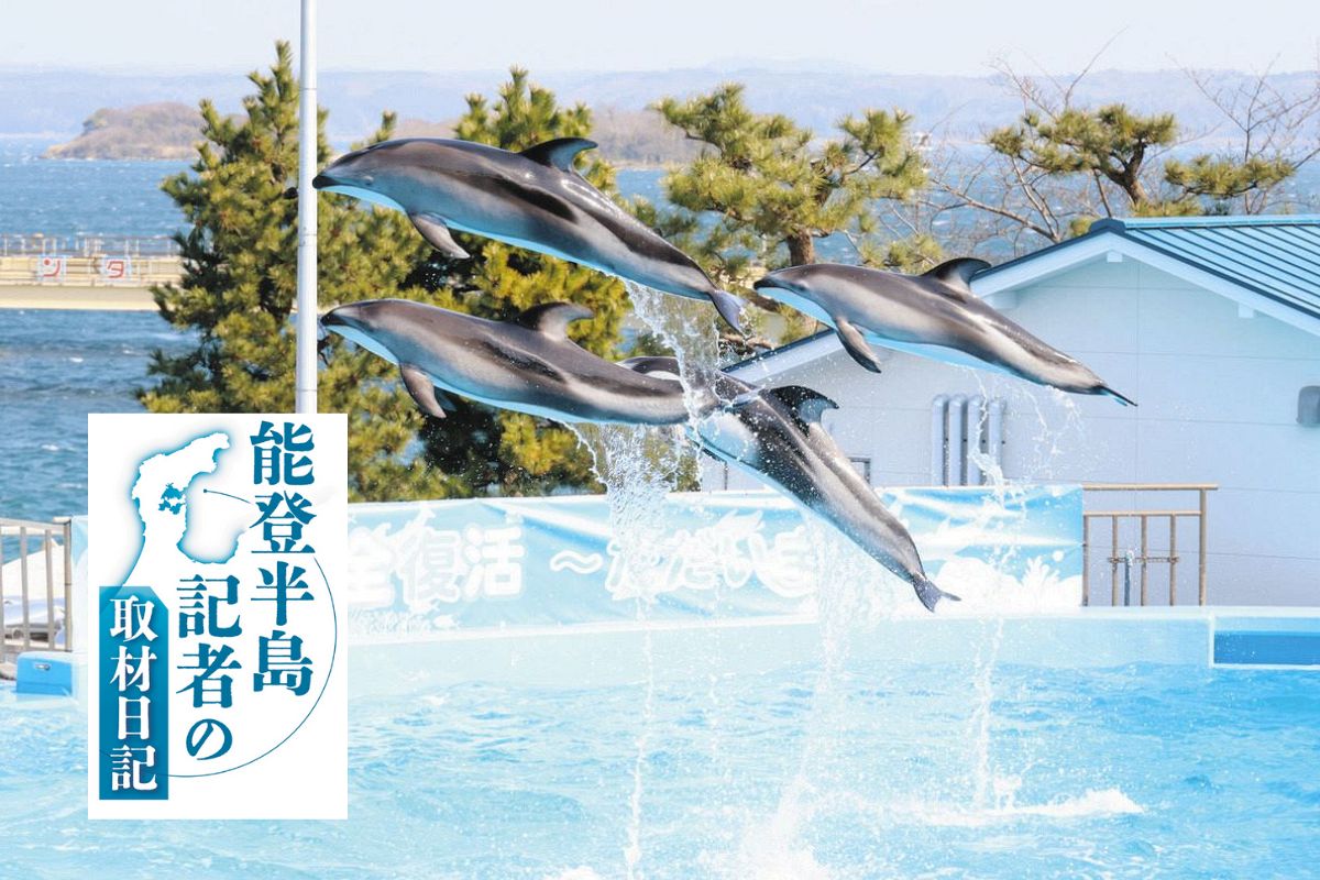 月とイルカさん 専用ページ イルカもアシカも祝福 能登地震で被災「のとじま水族館」が完全復活