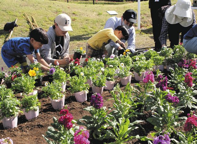 住民ボランティアが花苗植え 安中 みのりが丘パノラマパークで 東京新聞 Tokyo Web