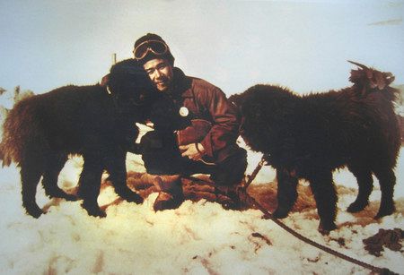 １９５９年１月、南極昭和基地で第３次観測隊員の北村泰一さんと再会したタロ（左）、ジロ＝北村さん提供