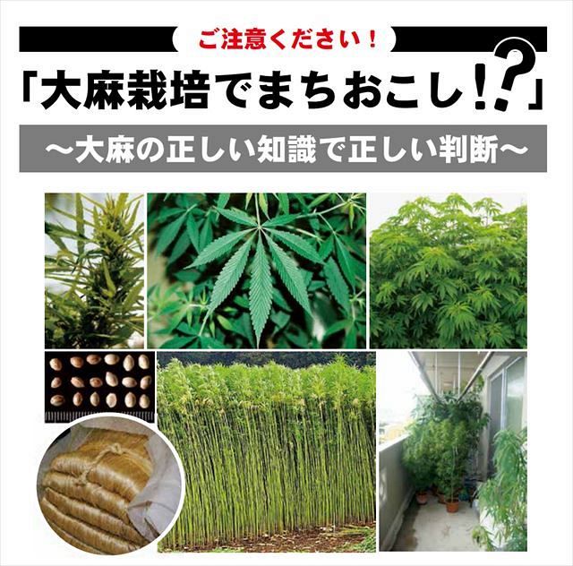厚労省の啓発ホームページに正規の大麻栽培農家が反発 誤解 偏見を助長 東京新聞 Tokyo Web