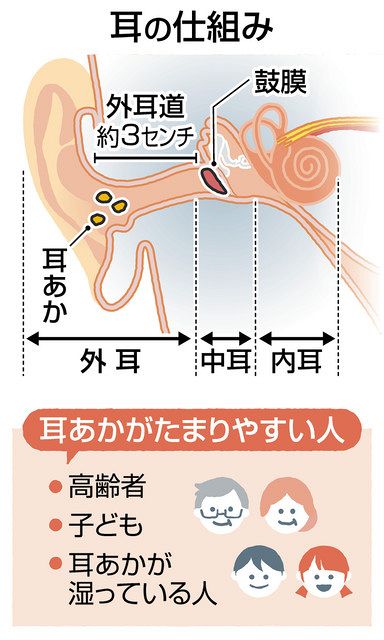耳掃除 やりすぎ危険 皮膚傷つき炎症に 耳あか奥へ押し込む 東京新聞 Tokyo Web
