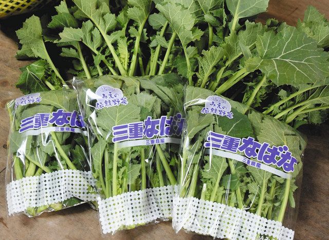 食卓ものがたり 苦みほんのり 甘み際立つ 三重なばな 三重県北部 東京新聞 Tokyo Web