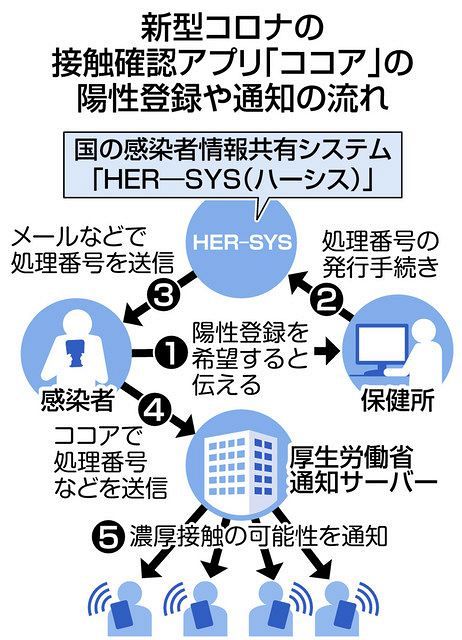 陽性申告者の利用はわずか2％ コロナ接触確認アプリ「COCOA」導入から1年 ：東京新聞 TOKYO Web