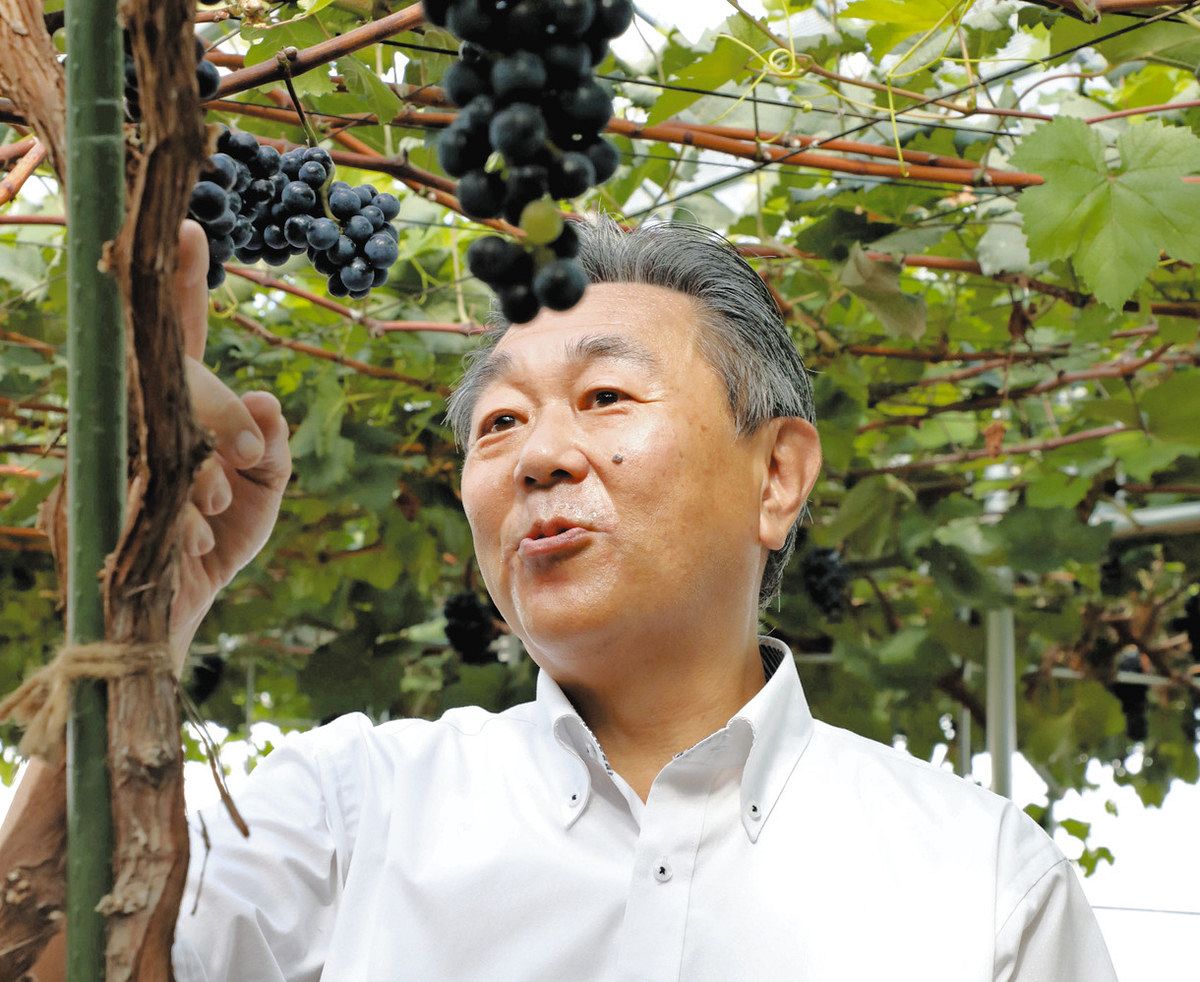 日本画 葡萄Ⅰ 葡萄Ⅱ 【公式通販】