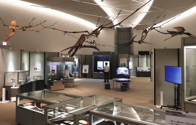 つるされた全身骨格のレプリカなどが並ぶ展示室＝いずれも富岡市で 