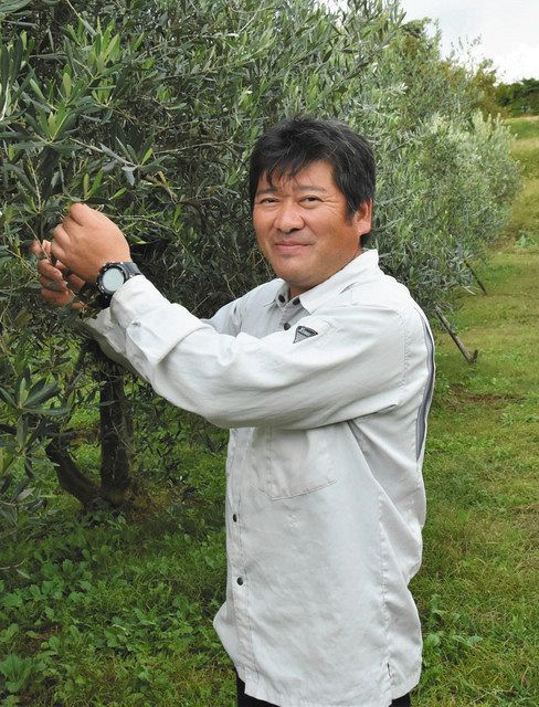 かながわ未来人 二宮町でオリーブ栽培 先駆者 浜田治郎 はまだ じろう さん ５１ 東京新聞 Tokyo Web