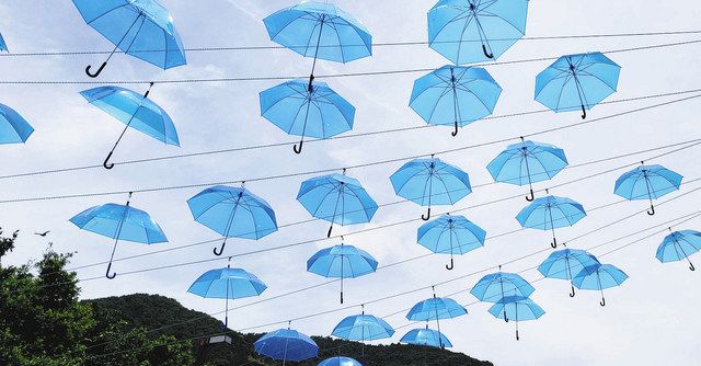 梅雨空に青い傘 笑顔に きょうから 松田町の公園 東京新聞 Tokyo Web