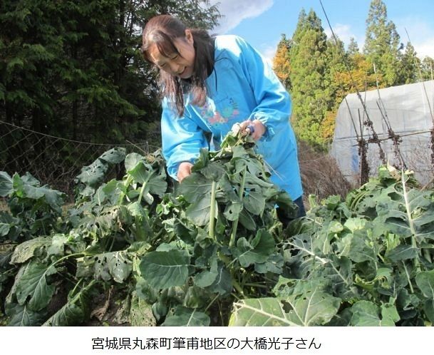 福島第一原発事故の被害は福島同様なのに… 宮城「県境」賠償に格差 除