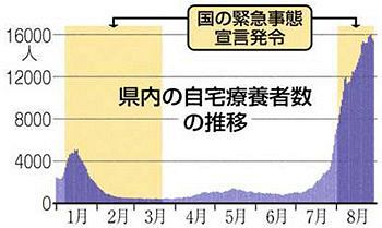 新型コロナ 自宅療養者1万5000人超 地元医師会の力 伊勢原が救急隊へ電話でサポート 訪問 オンライン診察 小田原など4市町 東京新聞 Tokyo Web