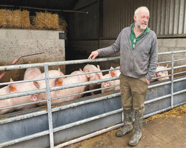 英シェフィールド郊外で、深刻な移民労働力不足で豚の出荷が出来ず苦境にあえぐ養豚農家のスティーブン・トンプソンさん