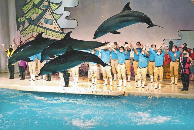 油壺マリンパーク 53年の歴史に幕 別れのジャンプ！：東京新聞デジタル