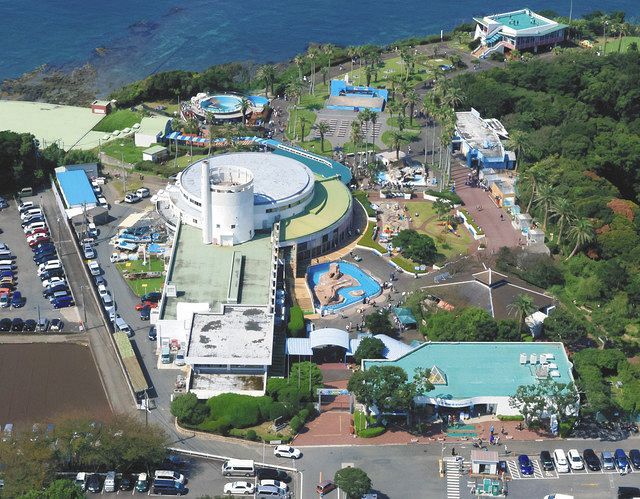 油壺。