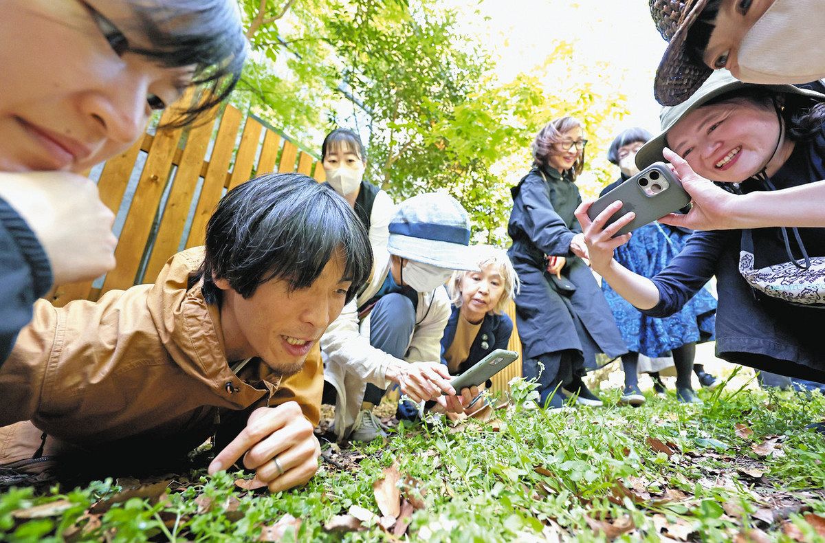 小さな発見、街の中にも 代々木公園で植物観察会：東京新聞デジタル