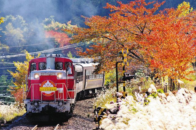 行ってみたら 紅葉＞車窓から楽しむ秋：東京新聞デジタル