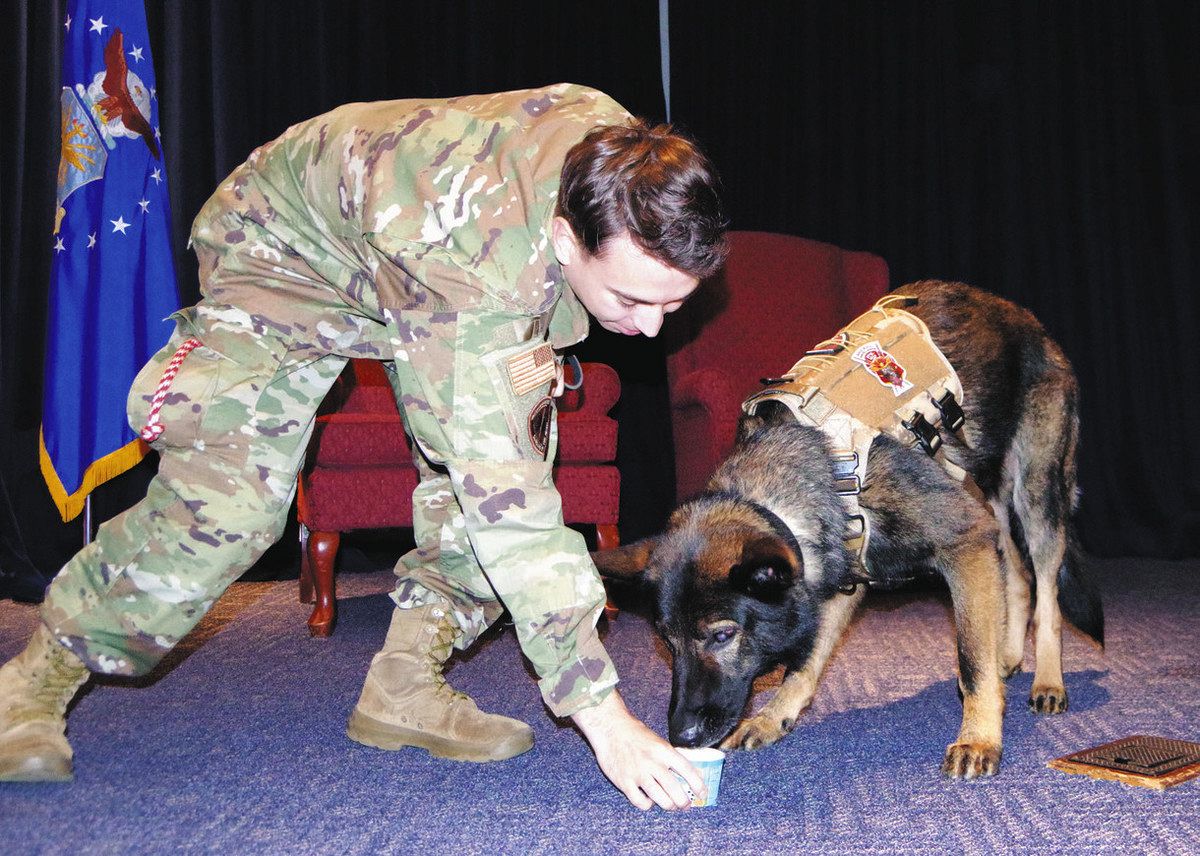 軍用犬リコ「第二の人生」へ 横田基地の任務終え飼い犬に おもちゃの