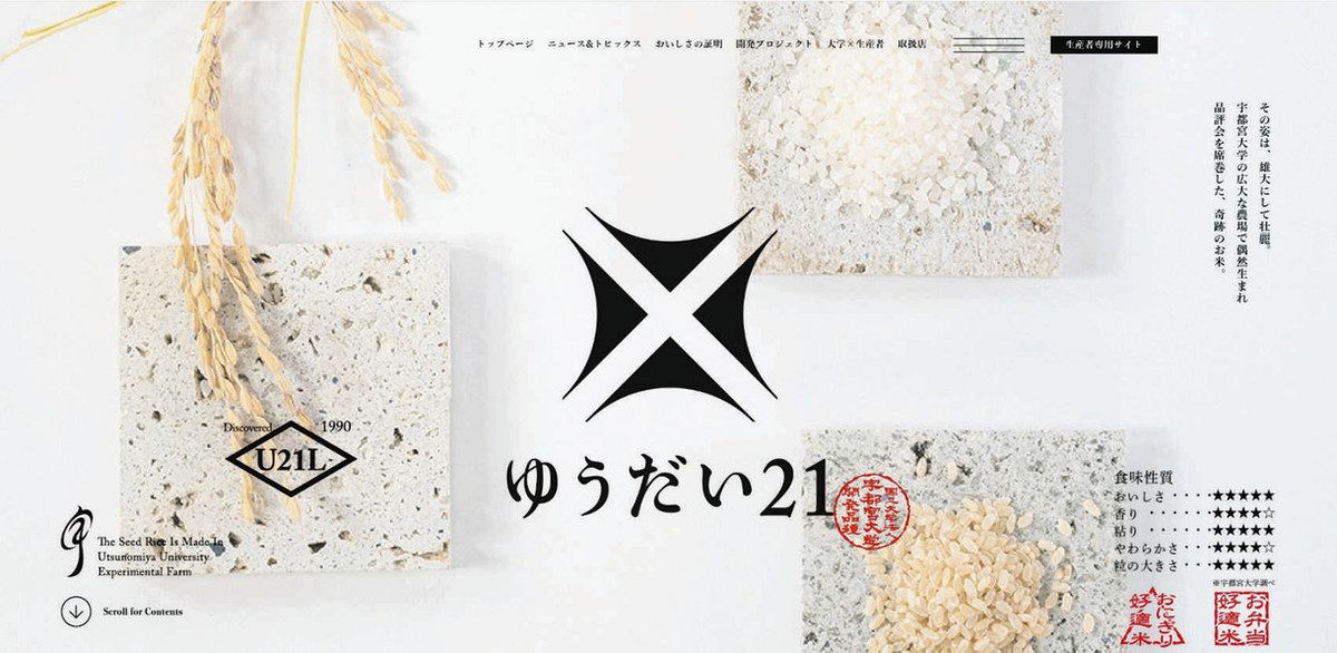 宇大発祥のコメ品種「ゆうだい21」のルーツは… コシヒカリ＋南アジア在