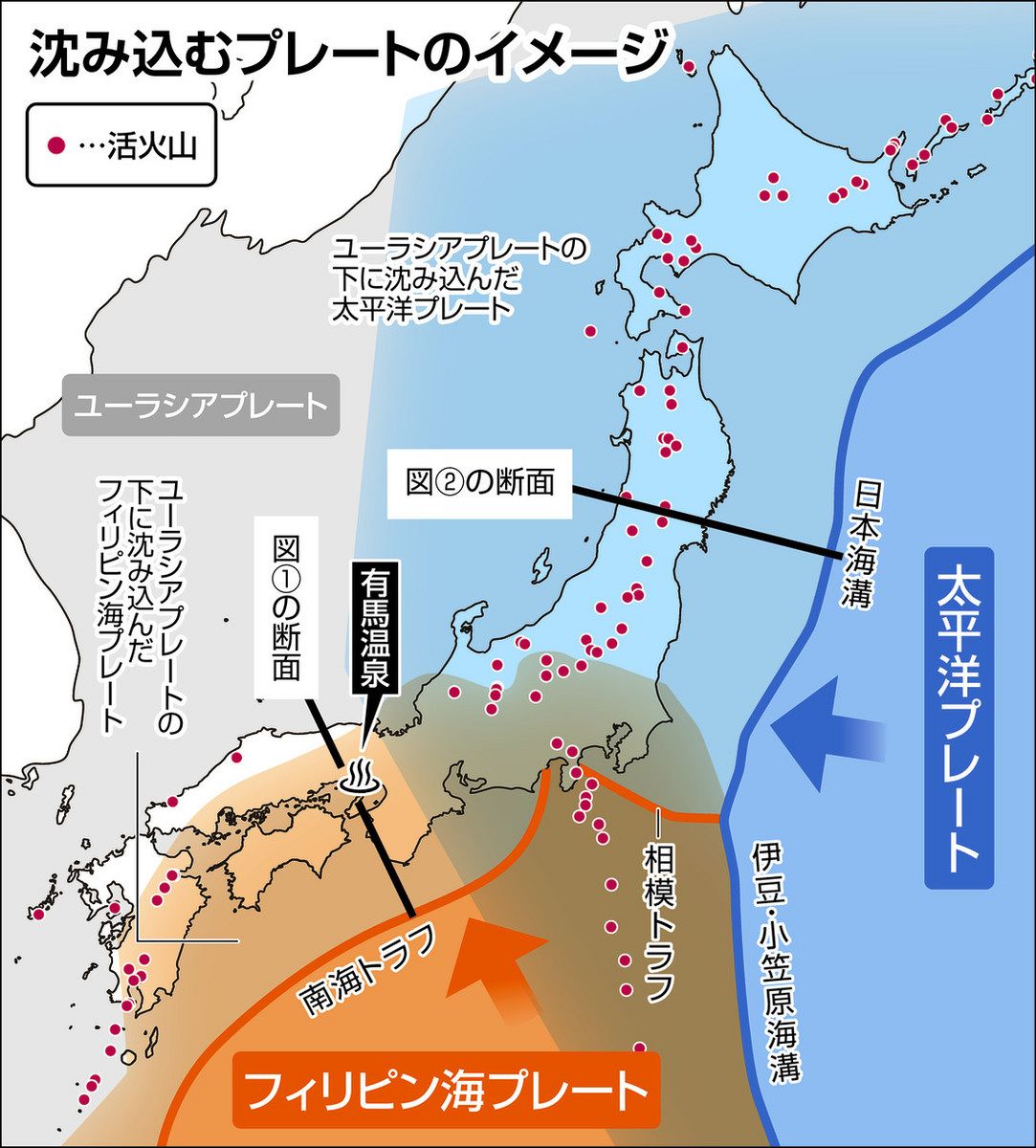 能登地震解く鍵 有馬温泉に 深部流体 プレートが運ぶ水に着眼：東京