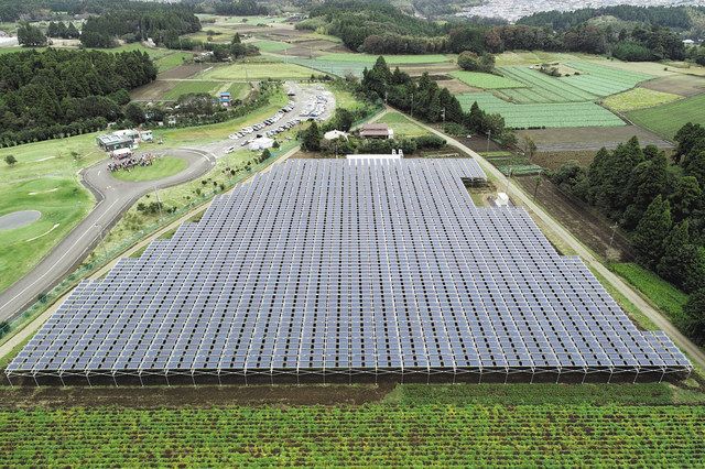 「千葉エコ・エネルギー」が運営しているソーラーシェアリング設備（千葉エコ・エネルギー提供）