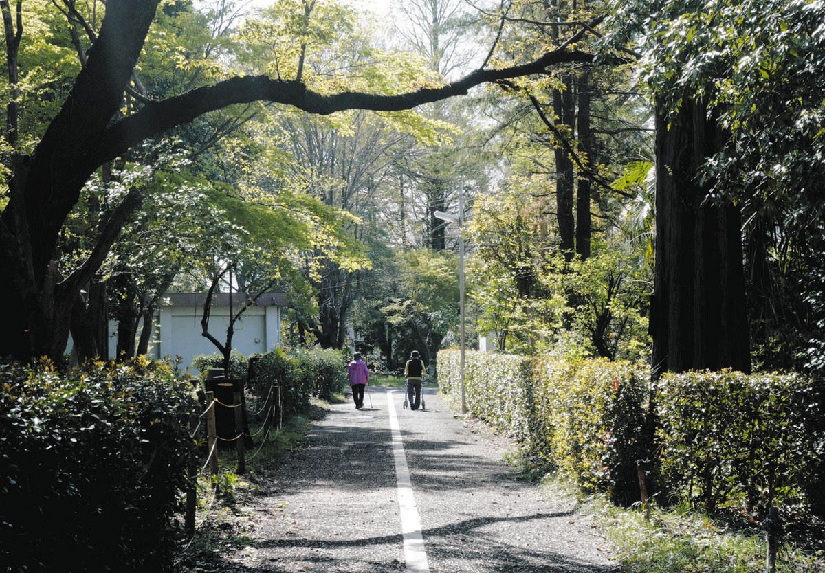 苦闘の歴史が失われていいのか ハンセン病への差別と隔離を象徴する