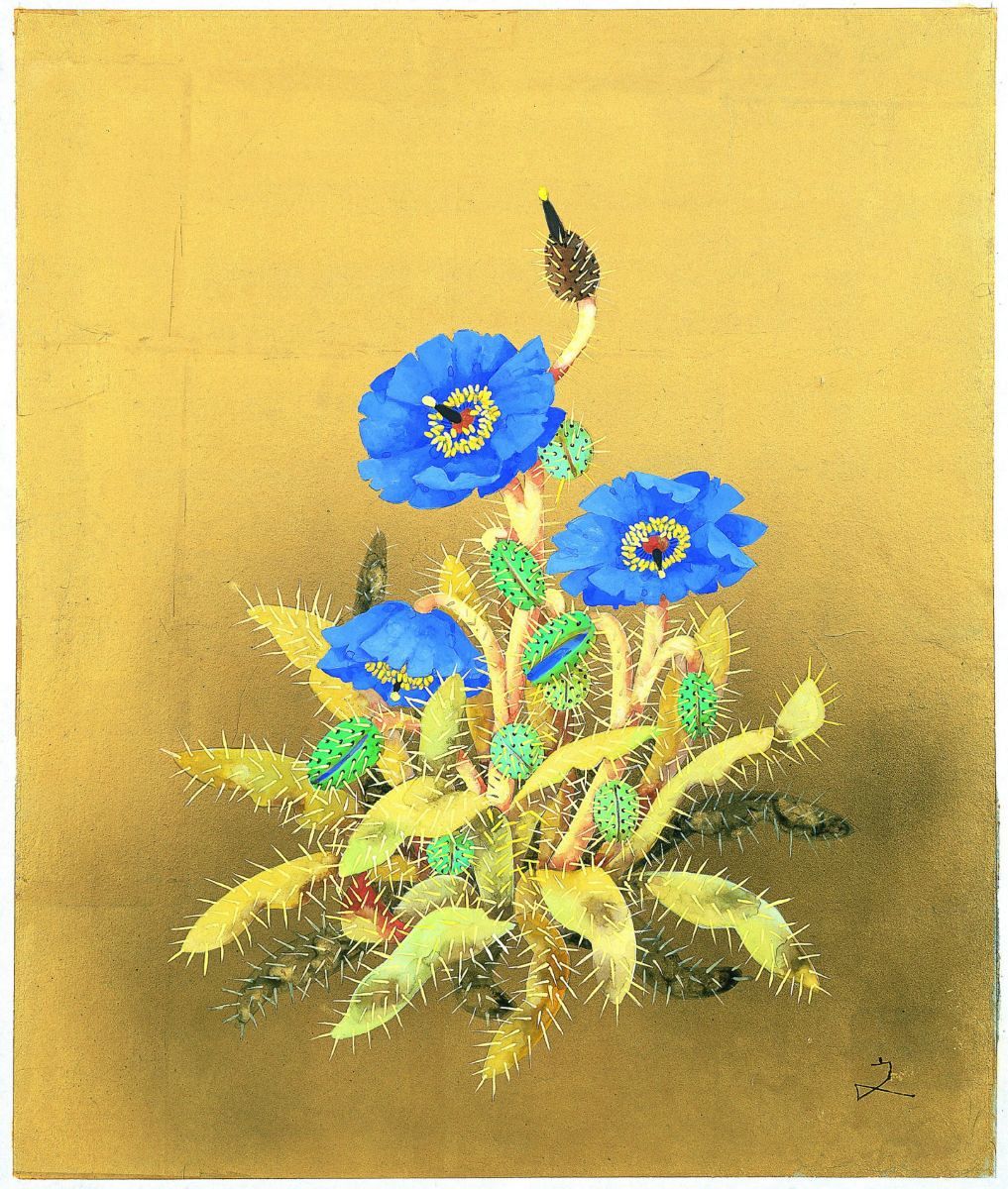 絵画 堀文子 「 幻の花 ブルーポピー 」 美術品 群れず、慣れず、頼らず 堀文子《アフガンの王女》《幻の花 ブルー