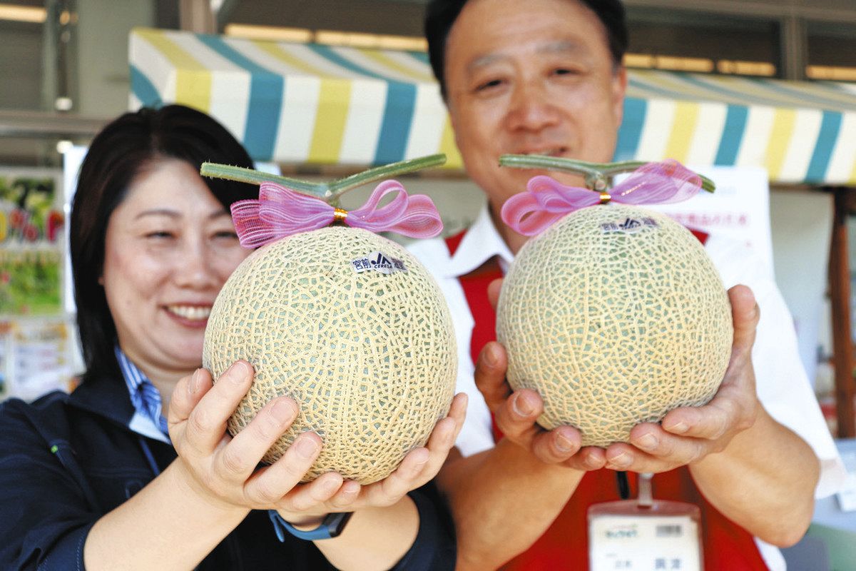 幻の宮前メロン」出荷シーズン JAセレサ川崎の直売所に早朝から列