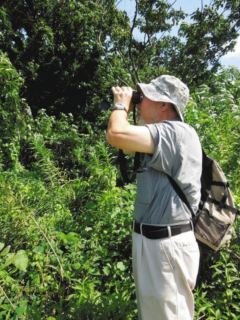 しみん発＞鳥の巣と卵 半世紀研究 鳥類研究者・内田博さん（７１